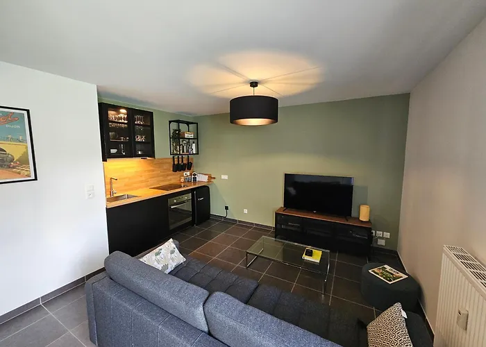 Hippolyte - Magnifique En Centre-ville Daire Dijon